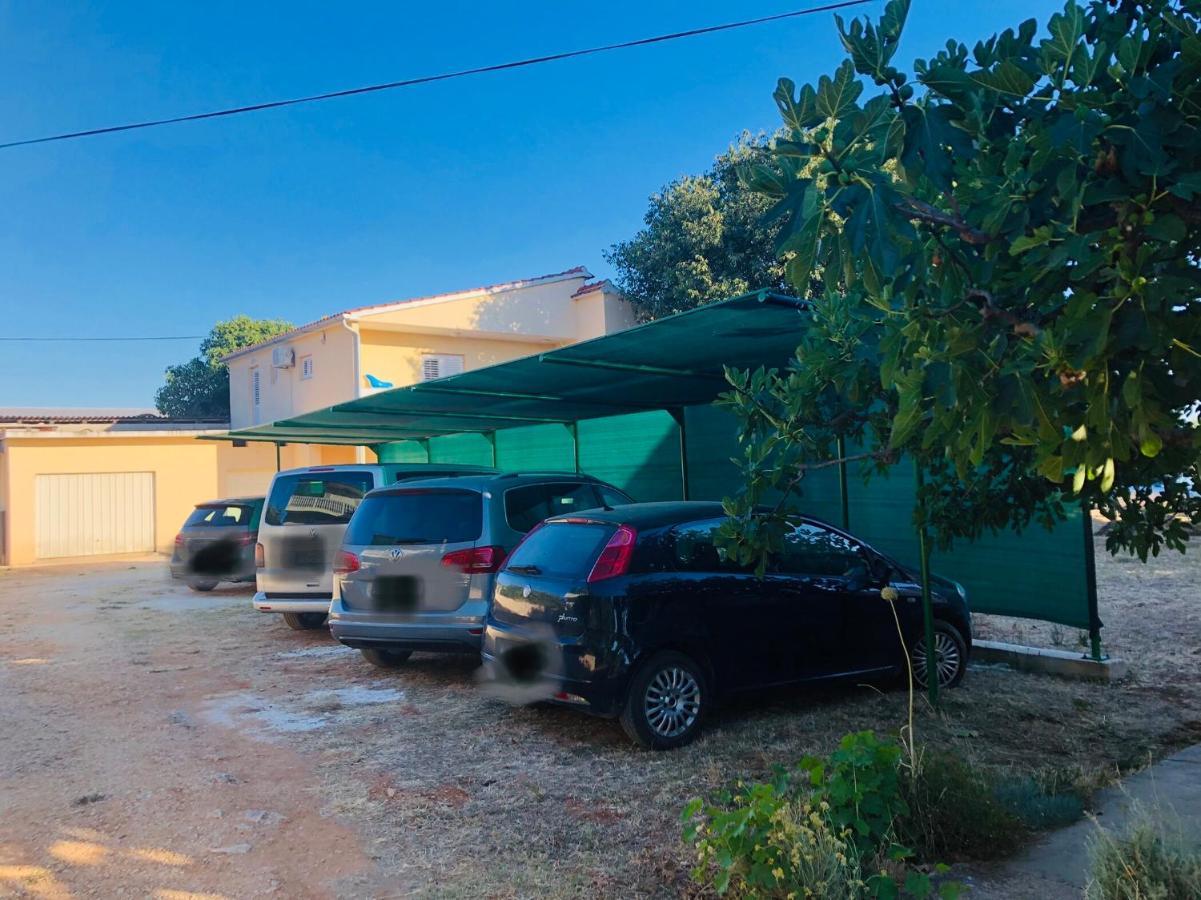 Apartmani Veronika Sukošan Extérieur photo
